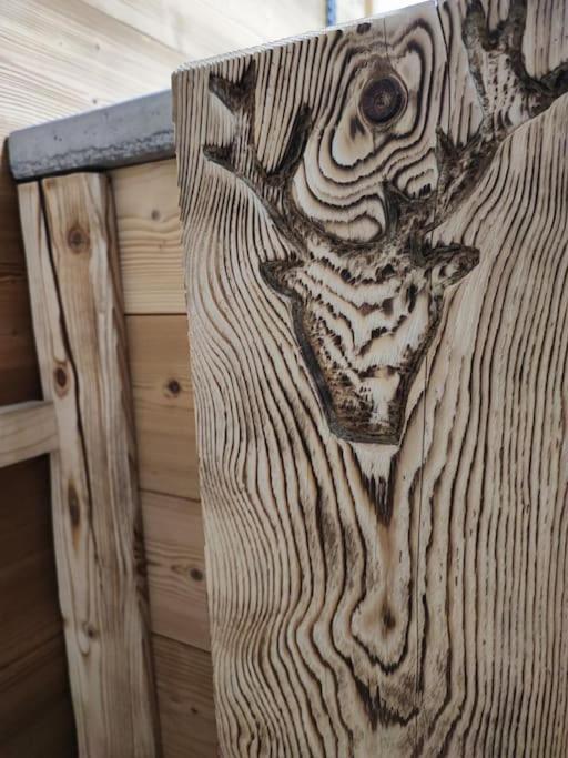 فيلا Le Banc Des Seilles Bonvillard المظهر الخارجي الصورة